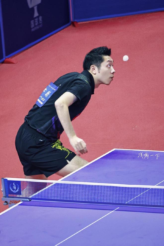 专业性及规 专业性及规