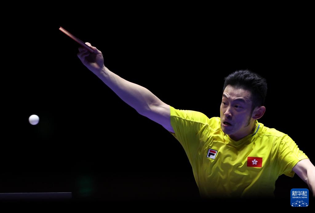 这场比赛证 这场比赛证